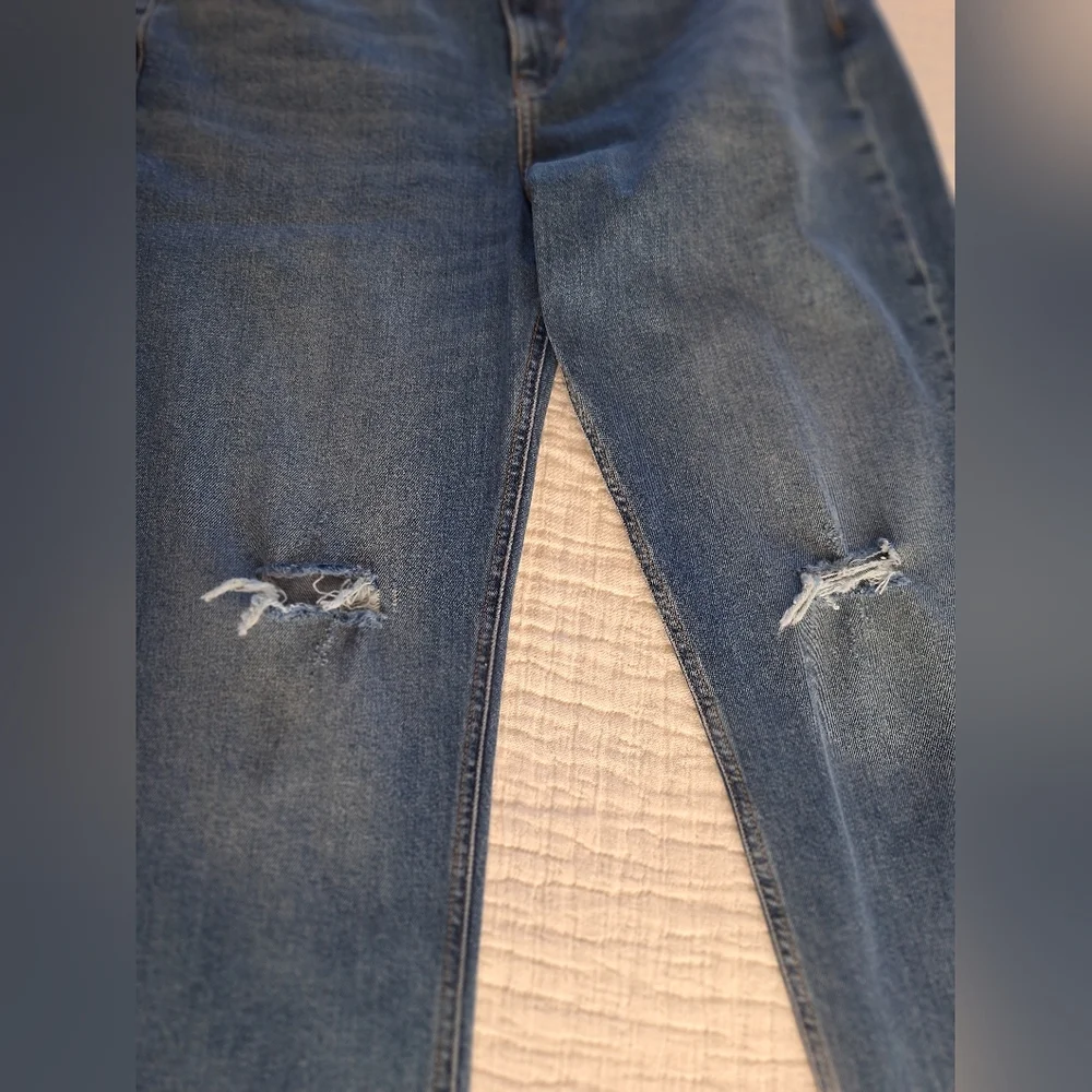 Banana Republic Distressed Blue Ankle Jeans - Picture 3 of 14